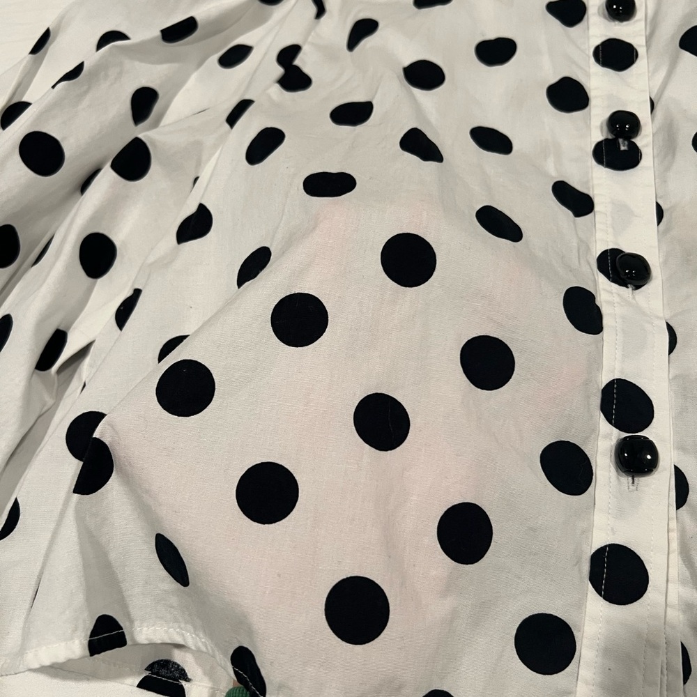 Zara Polka Dot Button-Up Cropped Blouse - Picture 5 of 6